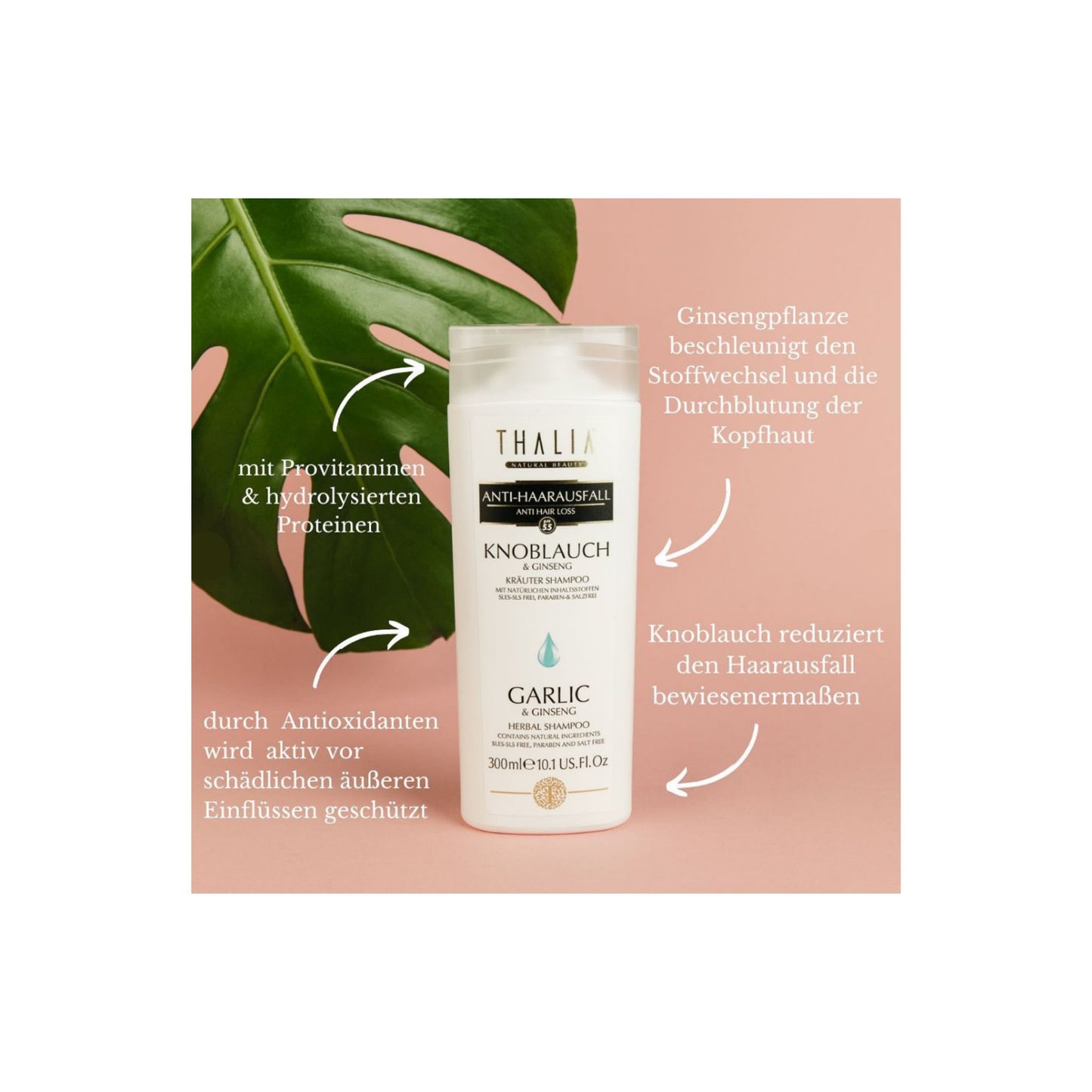 Knoblauch & Ginseng Shampoo 300ml - gegen Haarausfall