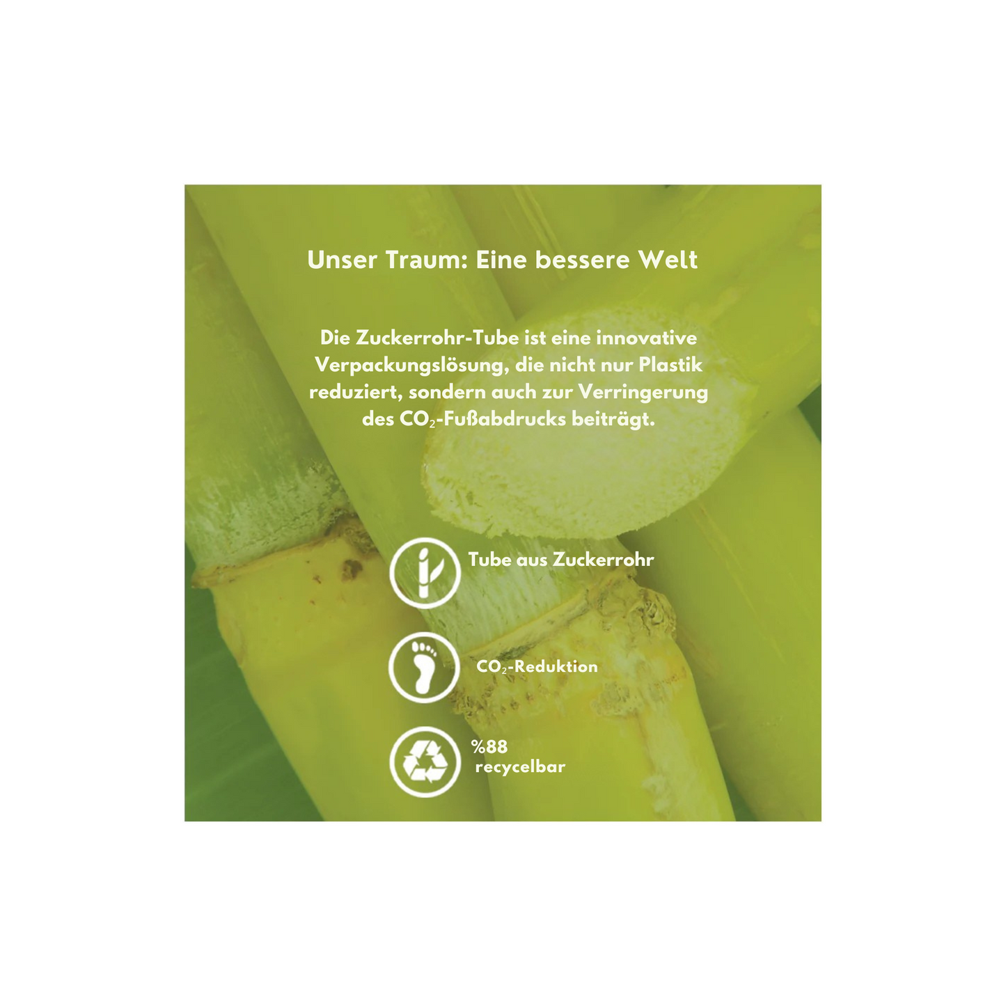 Sugarcane Hafermilch & Mango-Extrakt Leave-In Conditioner - für lockiges & voluminöses Haar 200ml
