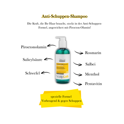 1 +1 Gratis! SCALP LAB Shampoo - Anti-Schuppen 400ml