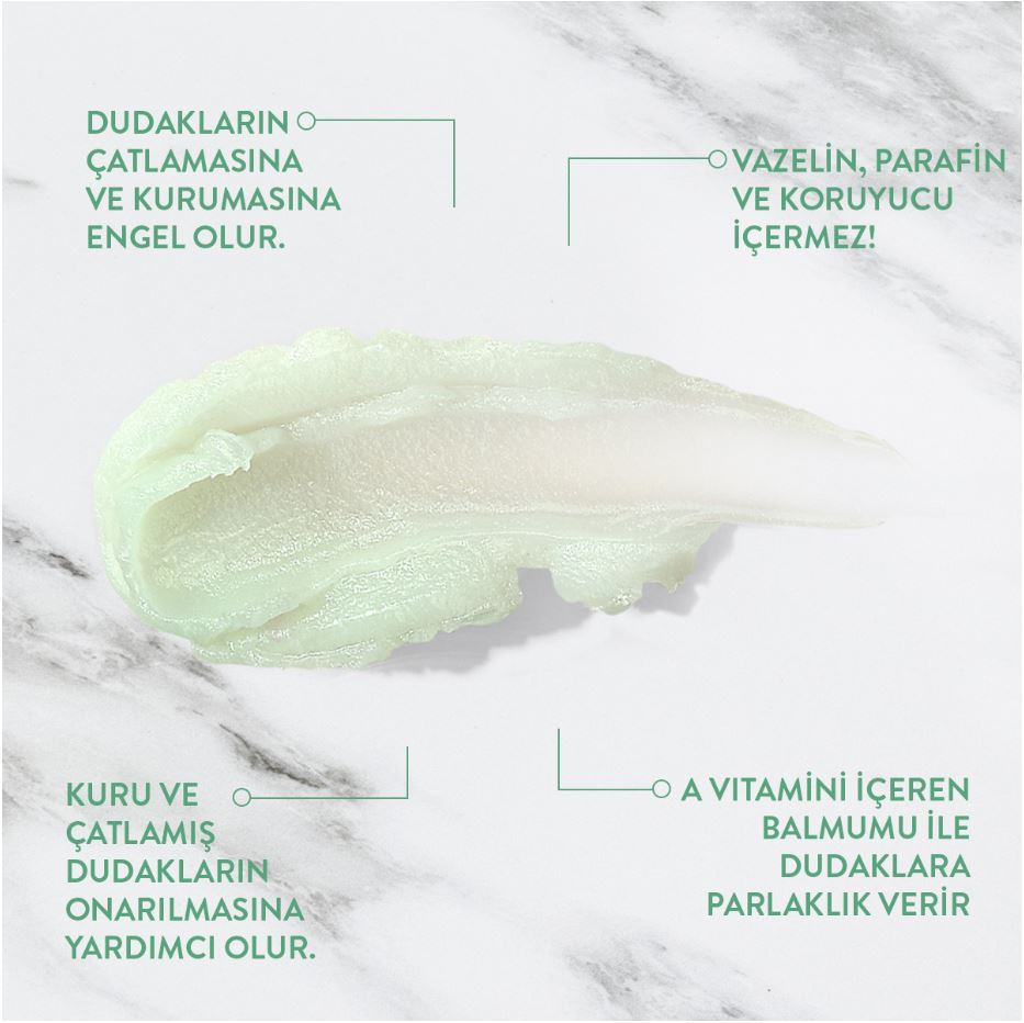 Lip Balm - Mint (Intensive Moisturizing) 12g